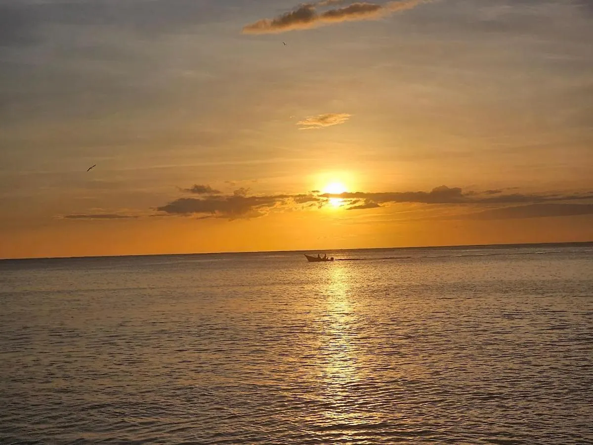 Sunset Cove Apartment Buccoo 0*,